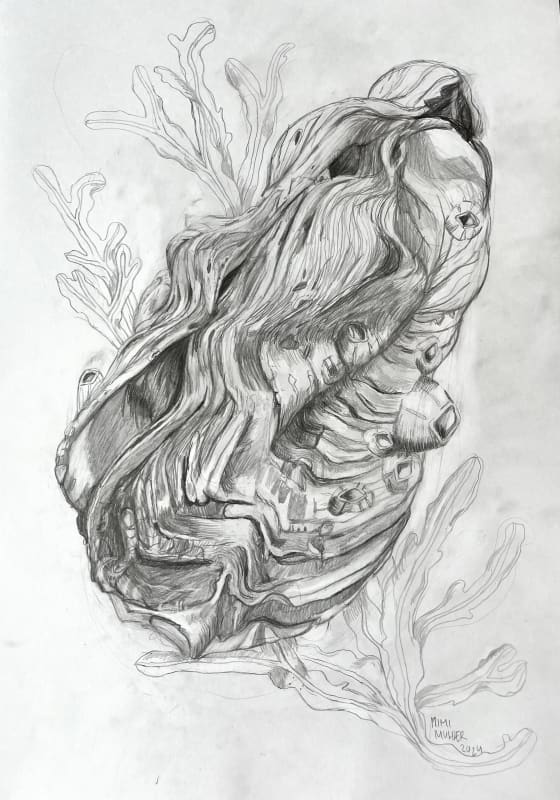 Gallery image #1