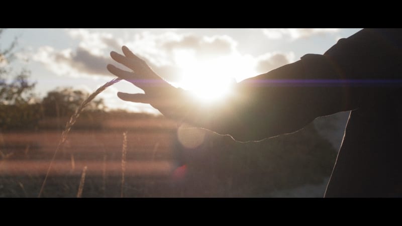 Gallery image #2
