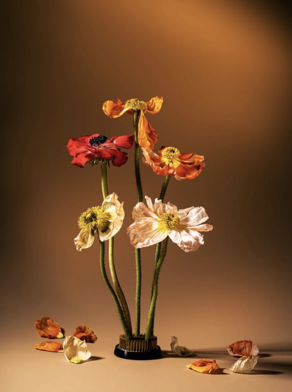Gallery image #2