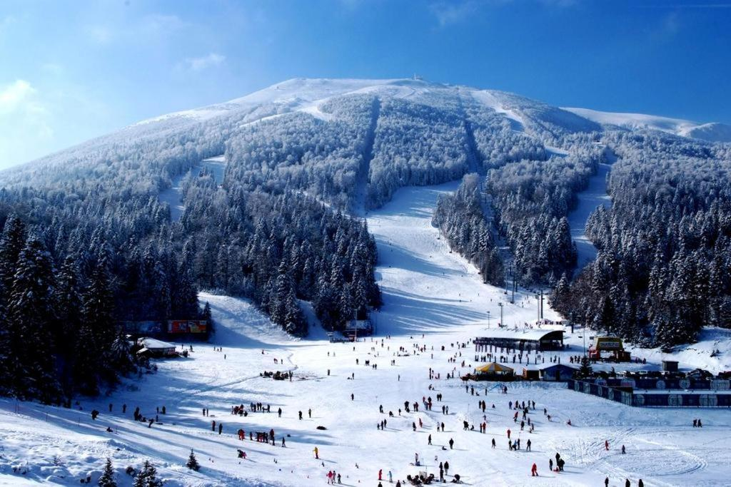 Bjelasnica Mountain