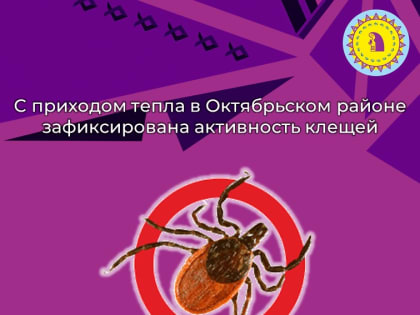 С приходом тепла в Октябрьском районе зафиксирована активность клещей