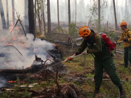 В Югре ликвидированы три лесных пожара