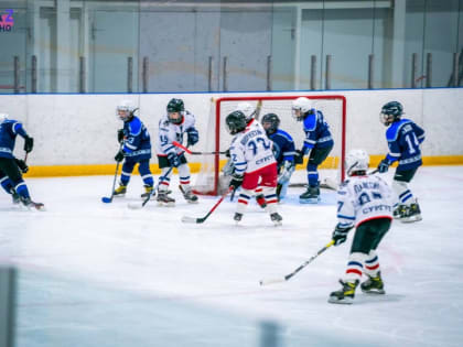 Наталья Комарова посетила хоккейный матч детских команд в Советском районе