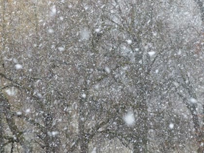 Сургутянам вновь предрекают сильный ветер с мокрым снегом