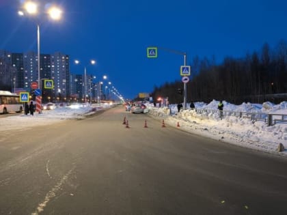 В Нижневартовске лихач сбил пенсионерку на пешеходном переходе (ВИДЕО)