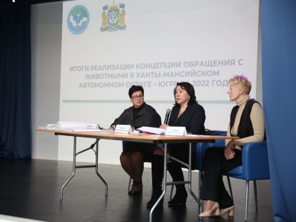 В Сургуте обсудили итоги реализации Концепции обращения с животными за 2022 год