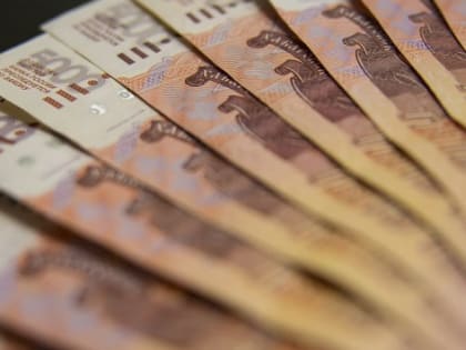 Депутат Нилов назвал способы преодолеть недоверие к цифровому рублю