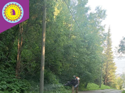 В Октябрьском районе завершен второй этап акарицидной и ларвицидной обработки