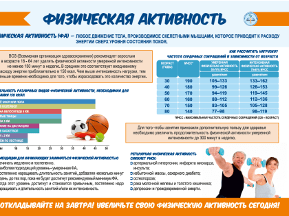 Физическая активность – основа здорового образа жизни