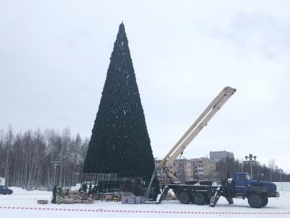 В Нижневартовске установили новогоднюю 22-метровую ель