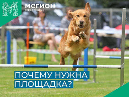 Будет ли площадка для выгула собак, зависит от нас