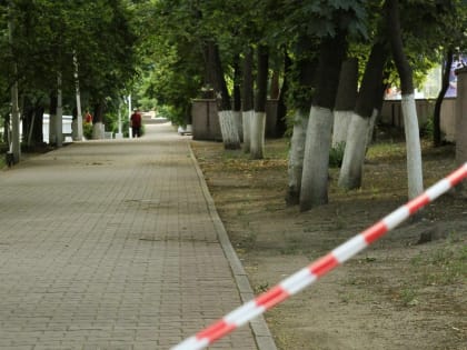 В Сургуте проведут противоклещевую обработку в популярных местах города. График