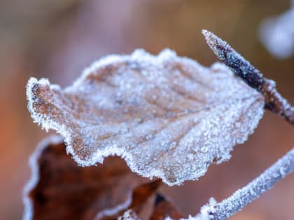 ХМАО ожидает минусовую температуру 9 мая
