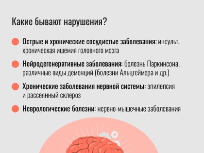 22 июля - Всемирный день мозга