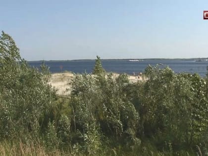 Много железа и органики. Купаться в сургутских водоемах небезопасно для здоровья