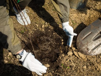 ​В Сургутском районе стартовала экологическая акция «Спасти и сохранить»