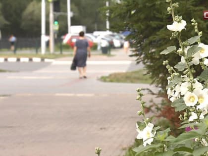 Какой август ждет Сургутян по мнению синоптиков