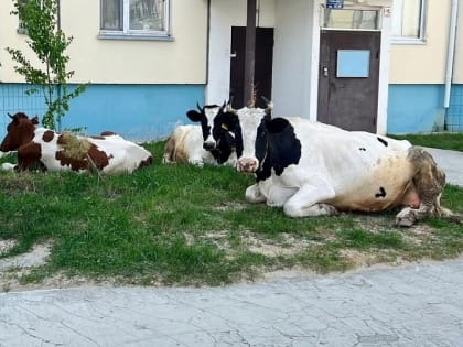 В Югре за август не выявили ни одного случая заражения лейкозом