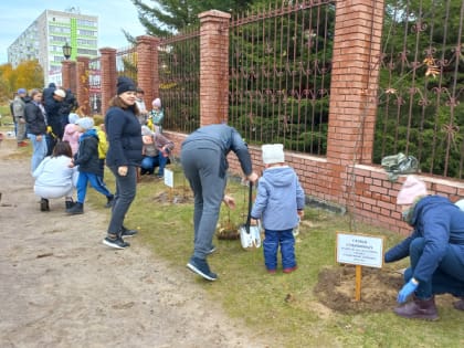 Рябиновая аллея от «Солнечных зайчиков»!