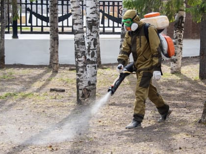 Города и поселки Югры от клещей будут обрабатывать в три этапа