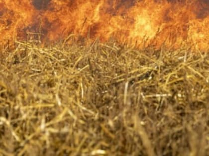 ​В ХМАО потушили первый лесной пожар
