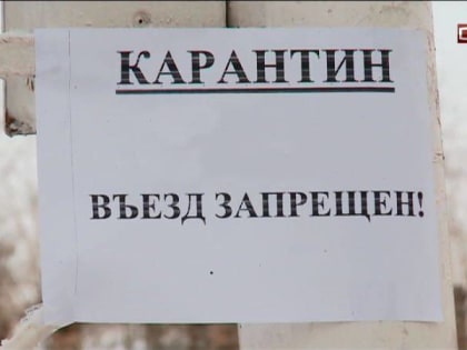 Карантин по бешенству установлен в одном из городов Югры