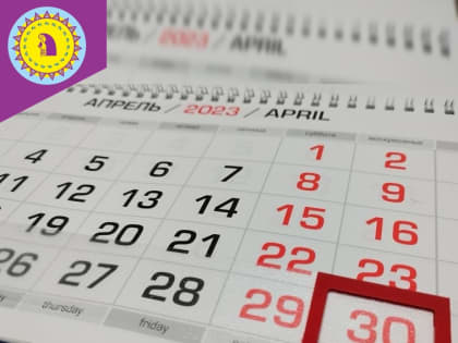 Стартовала декларационная кампания 2023 года