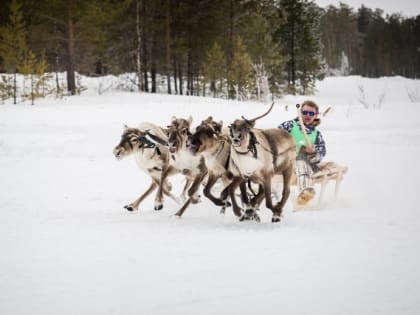 ​В Сургутском районе отменили слет оленеводов, рыбаков и охотников
