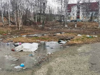 Сделаем город чище!