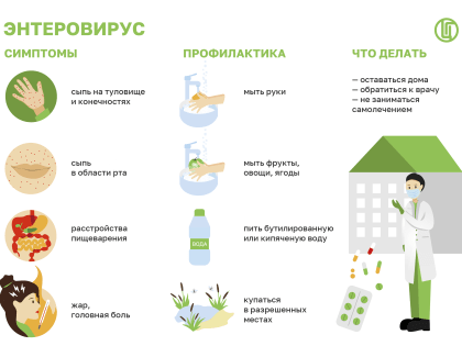 Врачи напоминают об опасности энтеровирусной инфекции