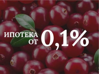 ​Студия с одной спальней площадью 39,4 м² в доме «Клюква» за 13 472 ₽ в месяц*