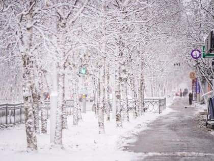 В Нижневартовске за сутки на спецполигон вывезли 451 машину со снегом