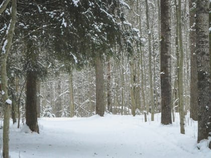 Погода в Сургуте, Нижневартовске и Ханты-Мансийске на 14 апреля