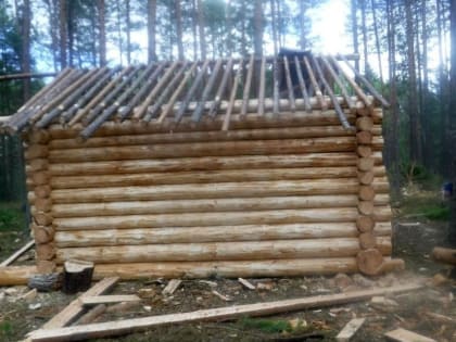 Трое жителей Югры построили избу из незаконно спиленных сосен