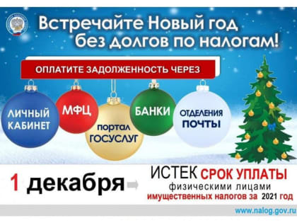 Встречайте Новый год без долгов!