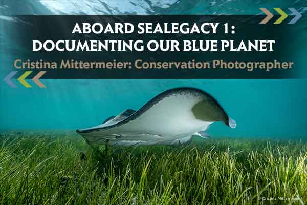 Aboard Sealegacy