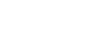 Wildz
