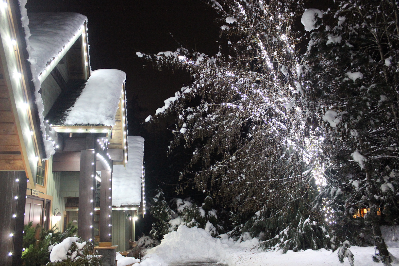 A building with pure white lights outlining the architecture for a clean, modern look.
