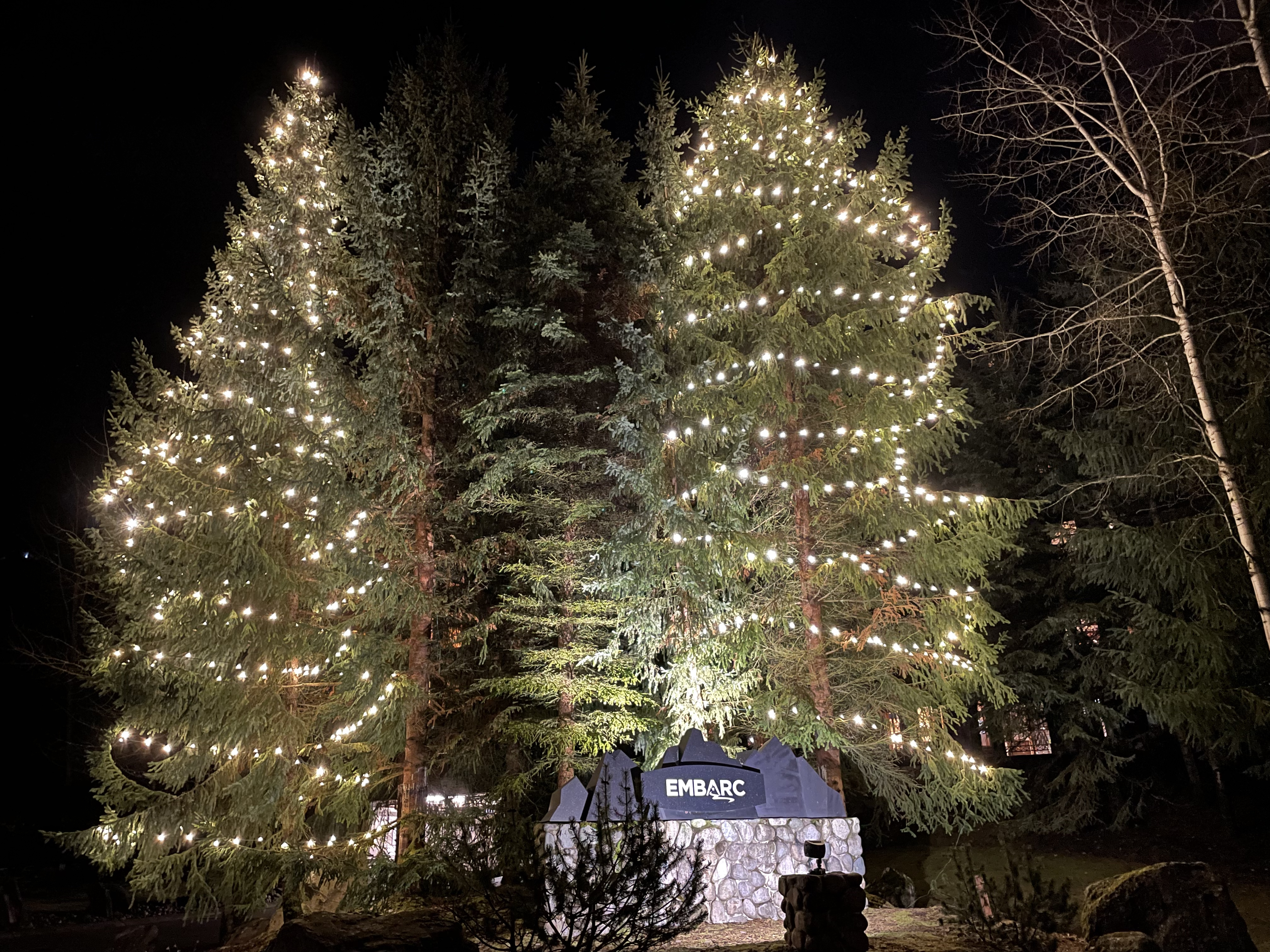 Wide shot of the Hilton hotel with extensive holiday lighting.
