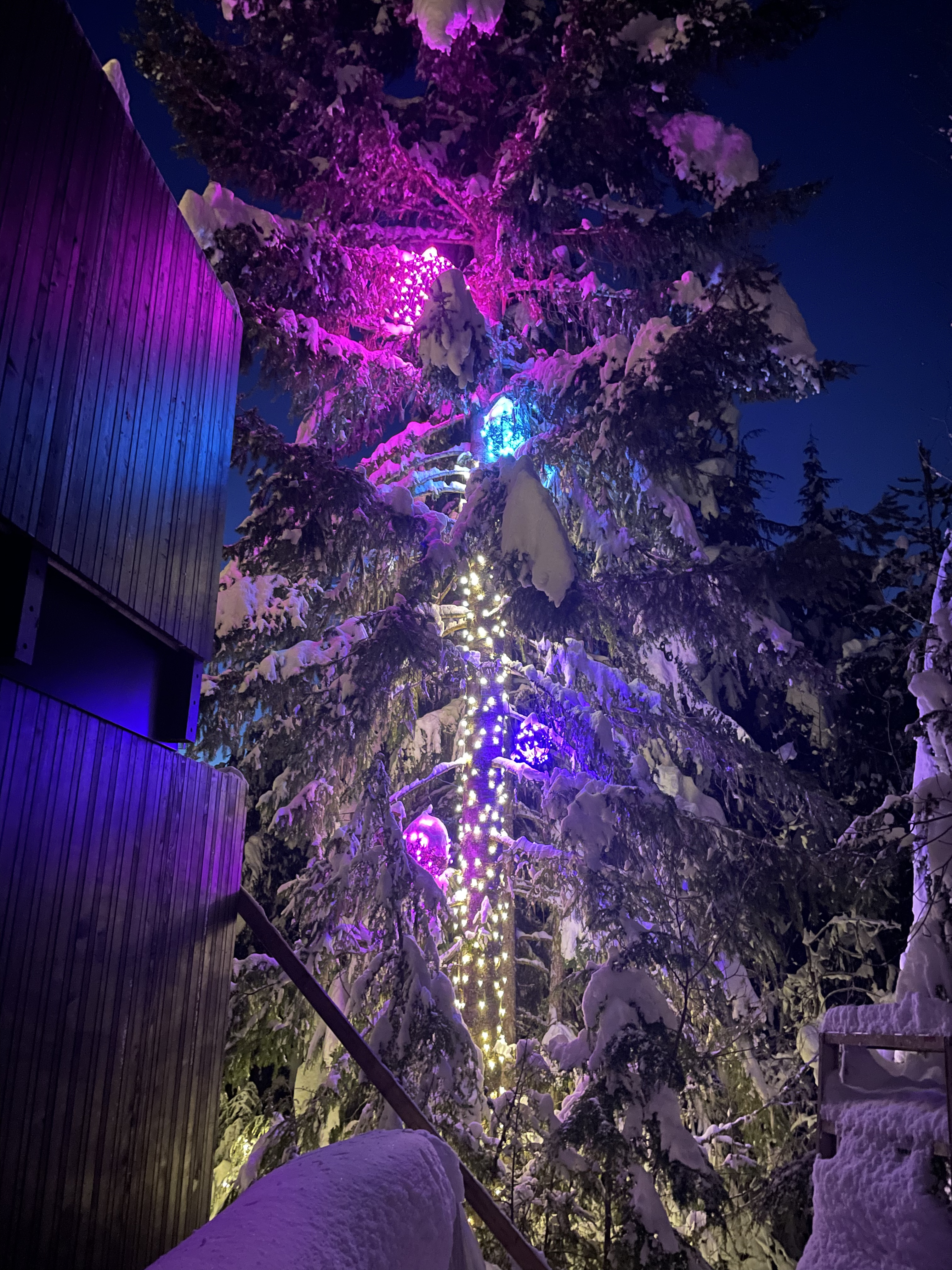 Trees decorated with multi-colored lights and glowing spheres.