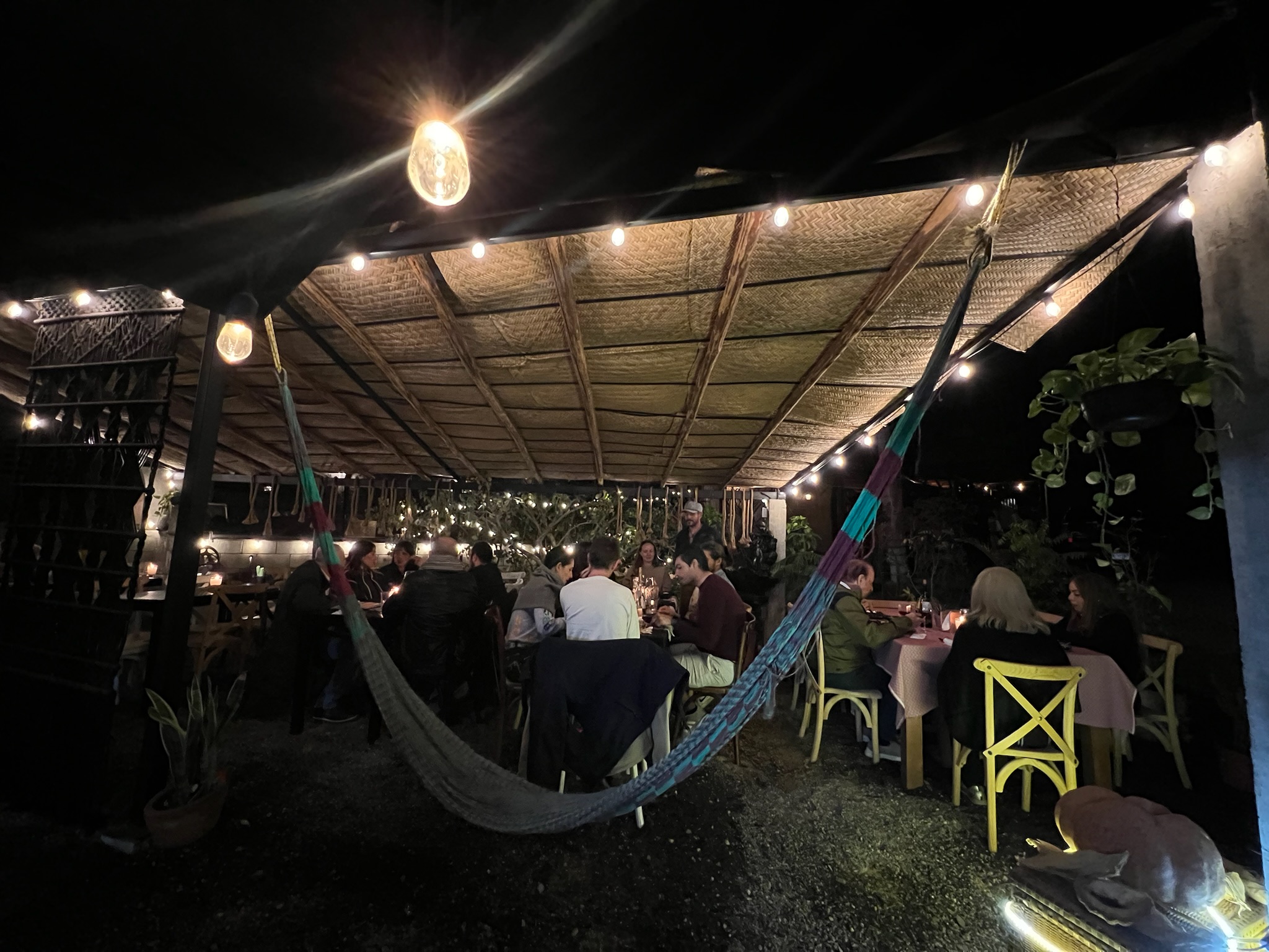 Fresh Catch of the Day