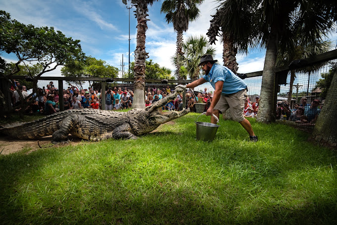 Alligator Adventure reptile park