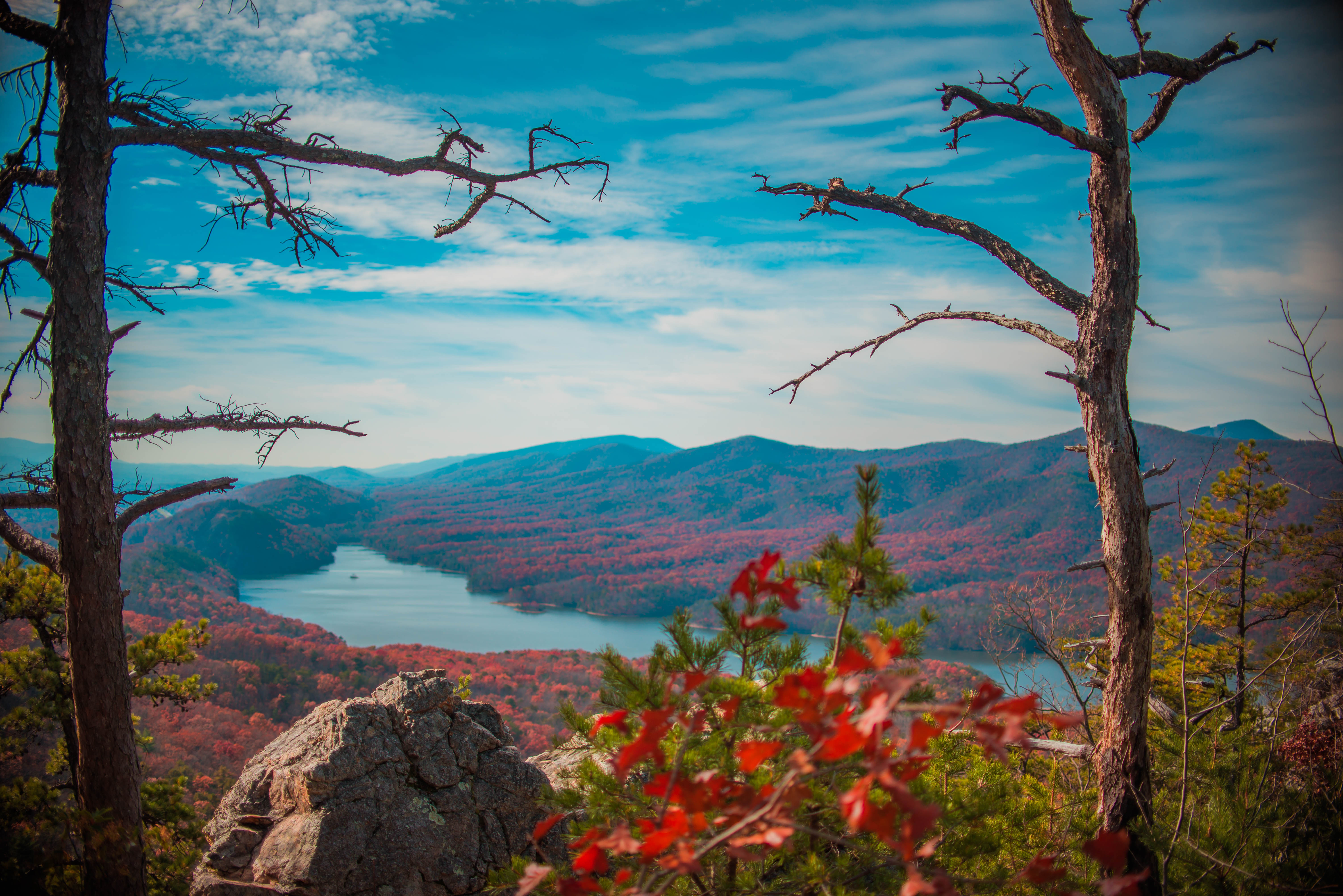 Mountain overlook from a hiking trail