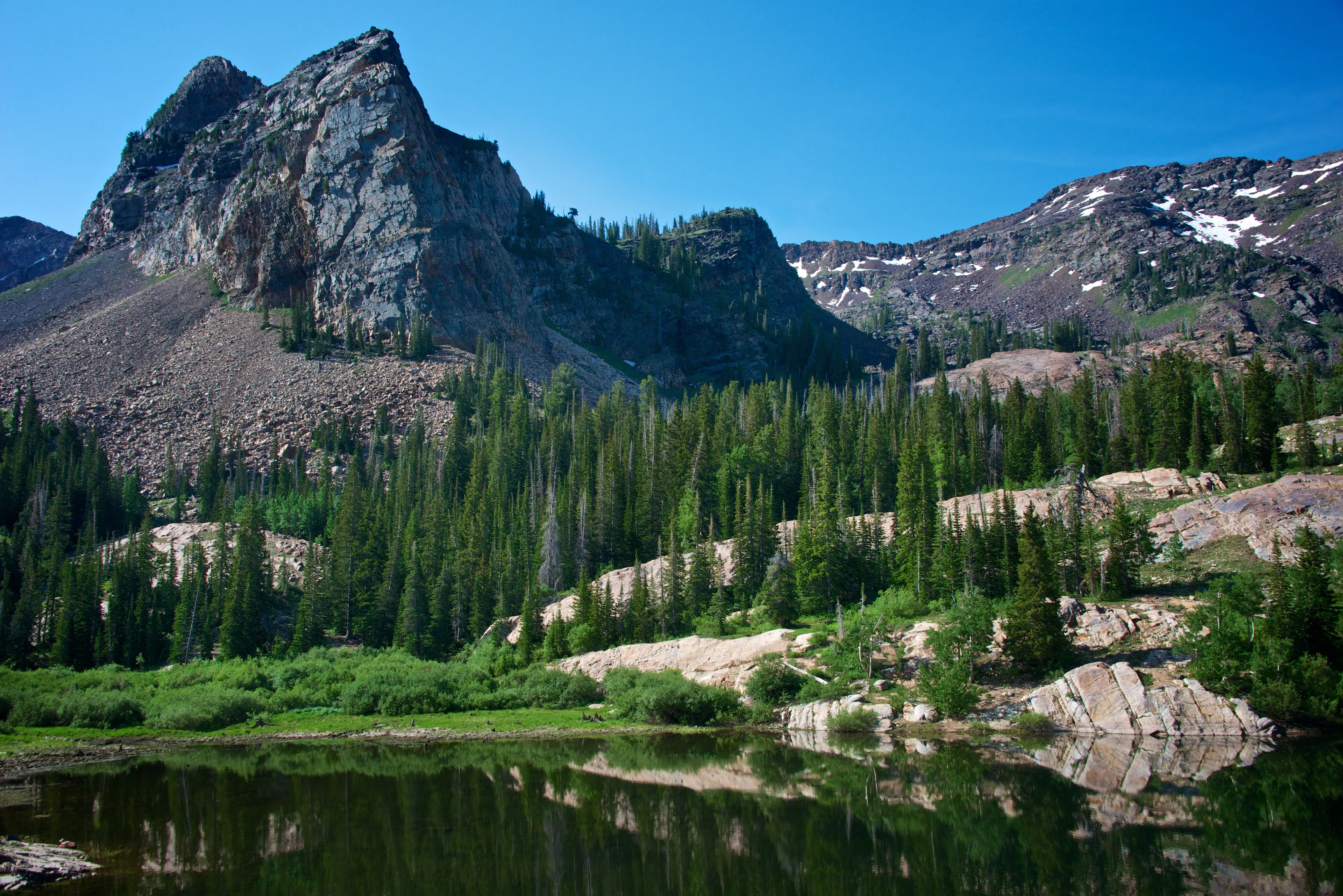 Hiker on a trail overlooking a valley with vibrant wildflowers