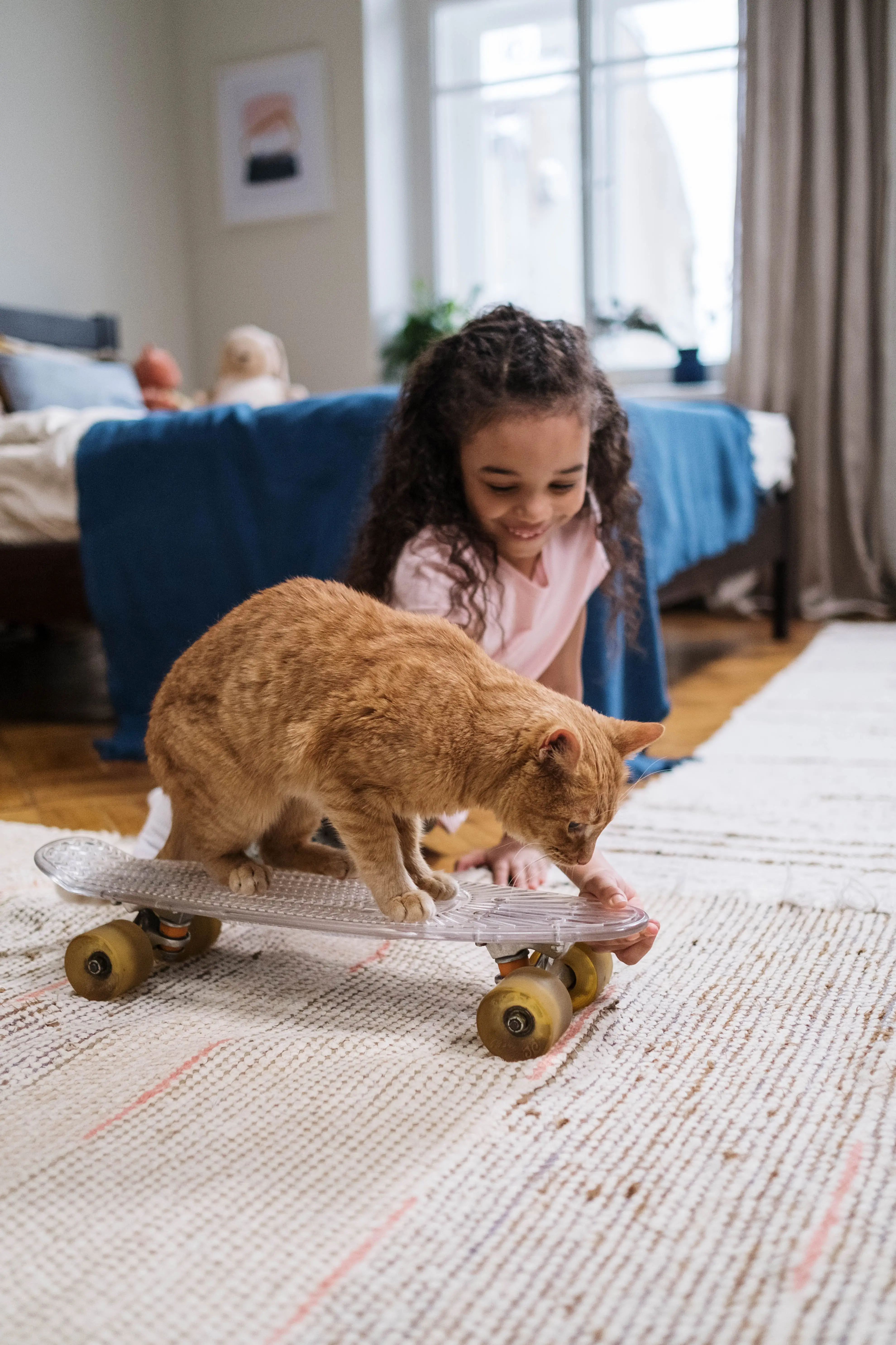 The Fascinating World of the Feline Family