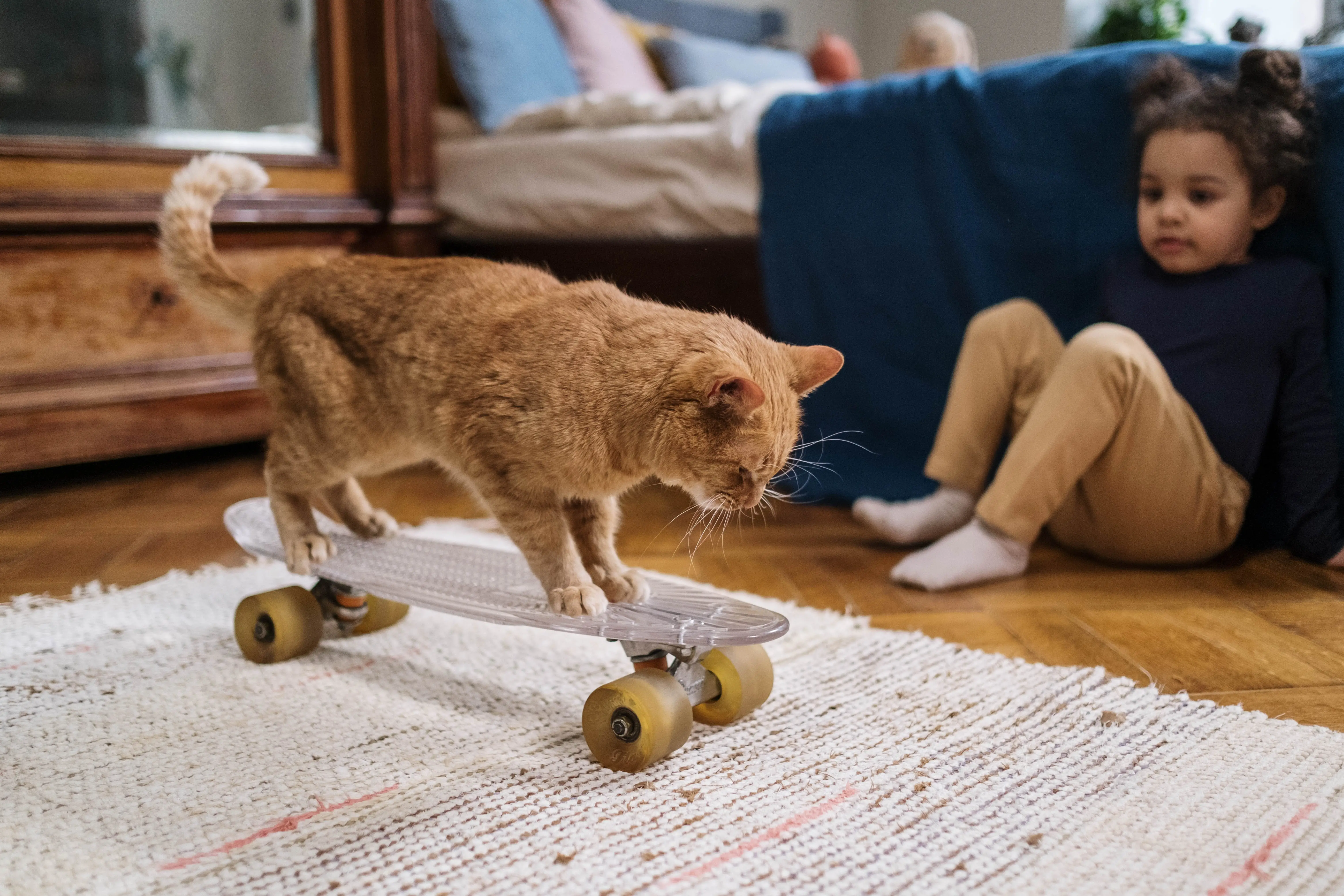 The Fascinating World of the Feline Family