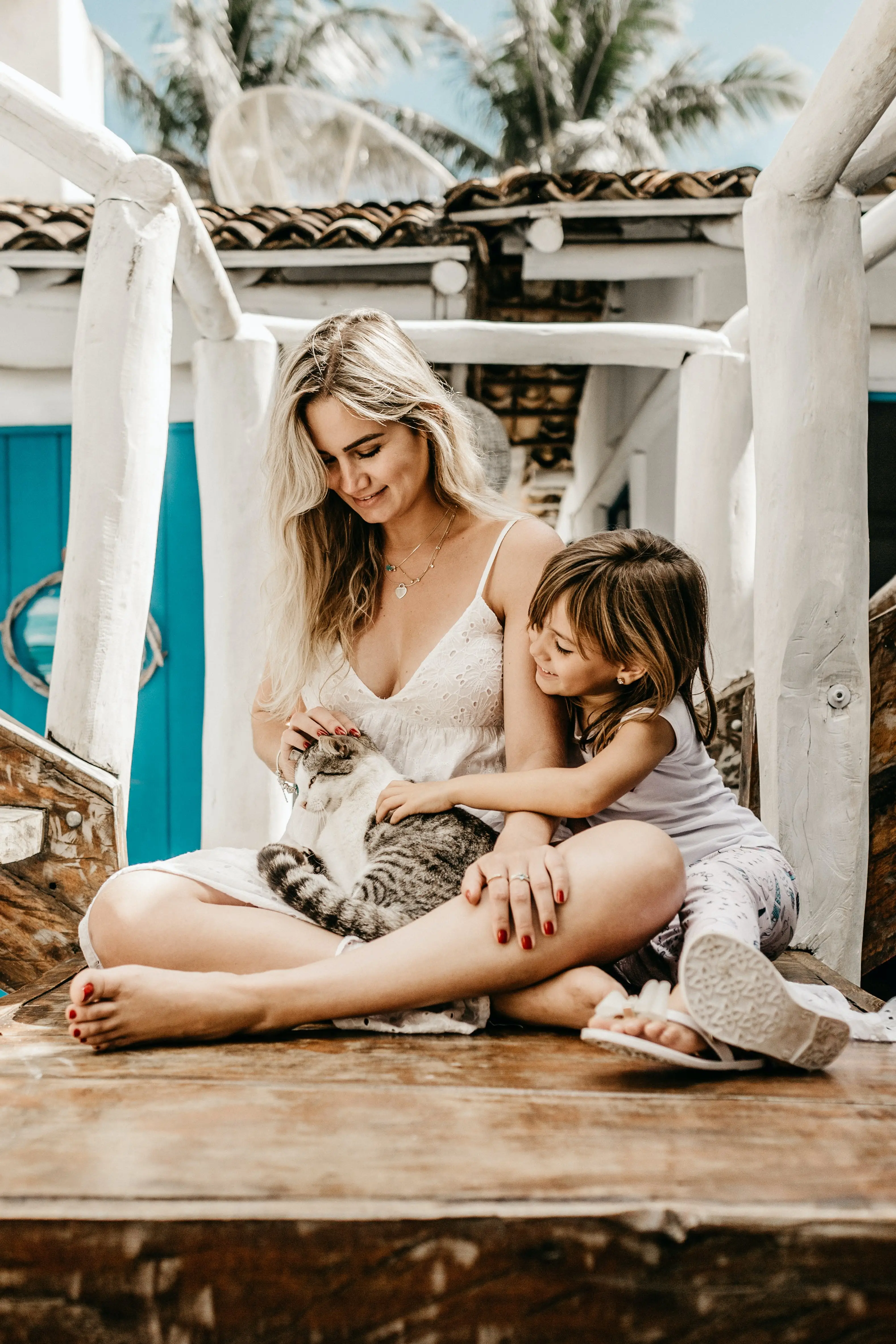 The Wild Cat Family List Exploring the World of Feline Species
