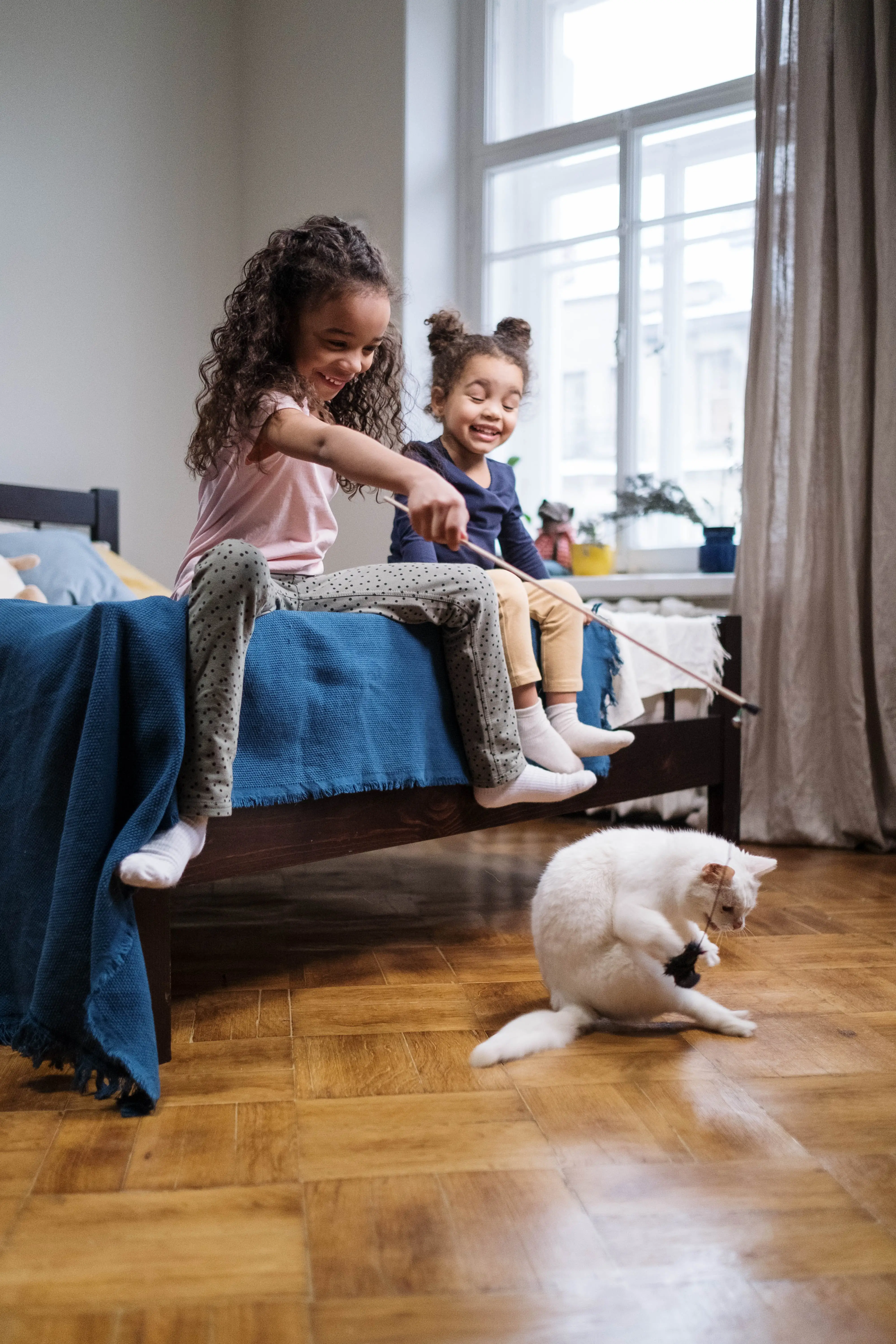 The Friemoth Family Cats A Feline Tale of Love and Companionship