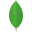 MongoDB