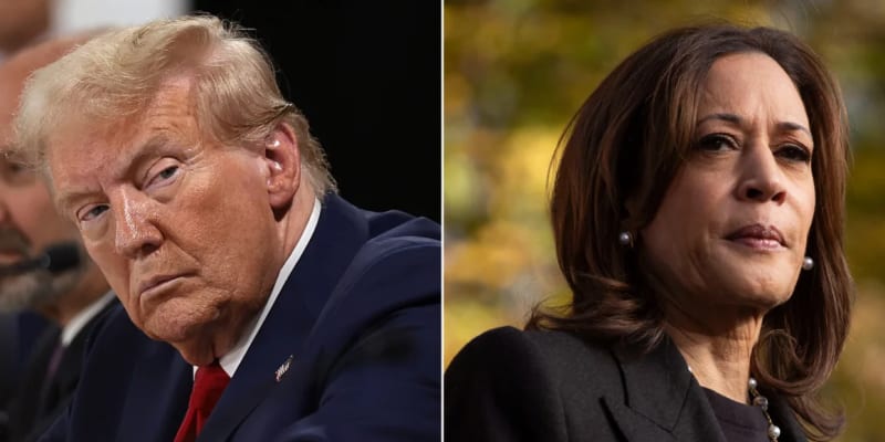US ELECTIONS: THE SHOWDOWN BETWEEN TRUMP AND HARRIS